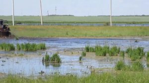 Покатушки на Cf Moto Z6