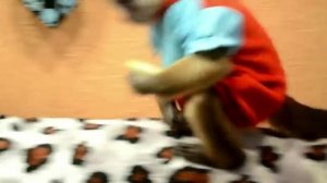 обезьяна капуцин и лук