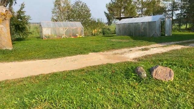 Один из способов как убрать пень с участка.