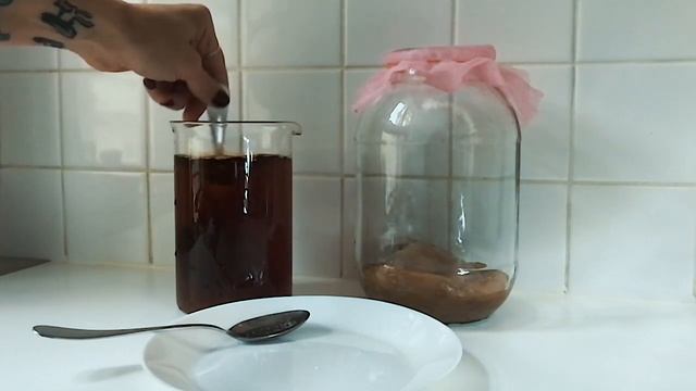 Кормление чайного гриба. Видеомедитация