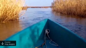 база отдыха астория астрахань