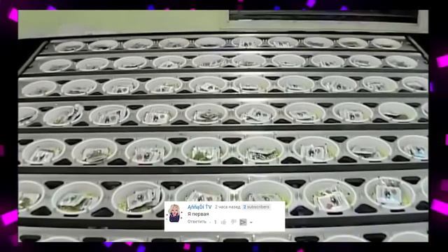 КАК ДЕЛАЮТ РОЛЛТОН ГЛАВНЫЙ СЕКРЕТ смотреть онлайн