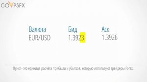 Форекс для чайников: что такое пункт.