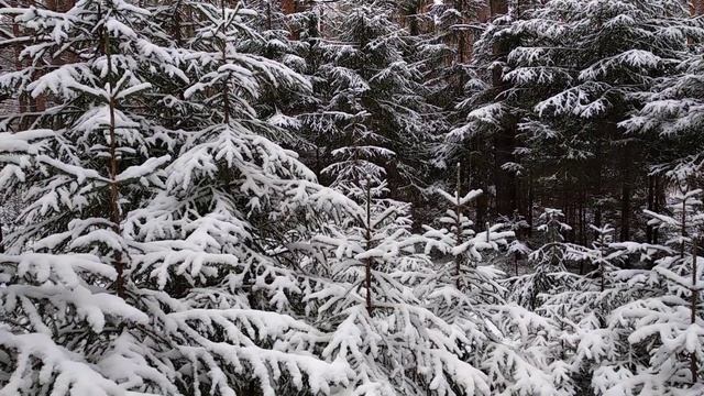 ЗИМНЯЯ СКАЗКА.. ВОЛШЕБНЫЙ МИР ИЗ СЕРЕБРА... смотреть онлайн