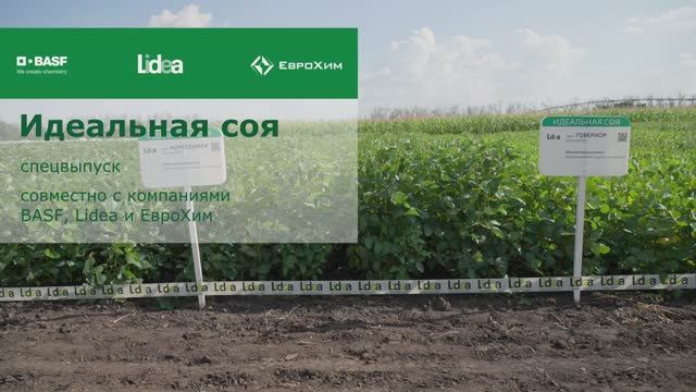 Идеальная соя | Спецвыпуск