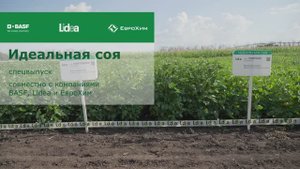 Идеальная соя | Спецвыпуск