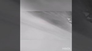 Скребки для снегохода с установкой на лыжу