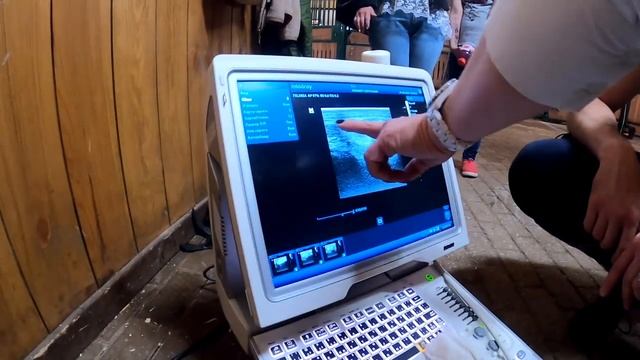 Плановое ветеринарное обследование коня. Тест на хромату. Корректировки работы и лечение. смотреть онлайн