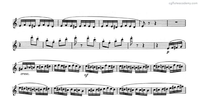 Rimsky Korsakov – Flight of the Bumble Bee ♩=144 (Very Fast) Flute & Piano midi смотреть онлайн