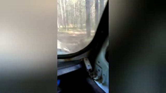 Поездка на УАЗе в лес за грибами. Природа Коми. смотреть онлайн