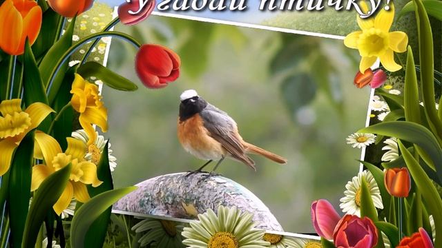 Птичка красиво поёт! смотреть онлайн