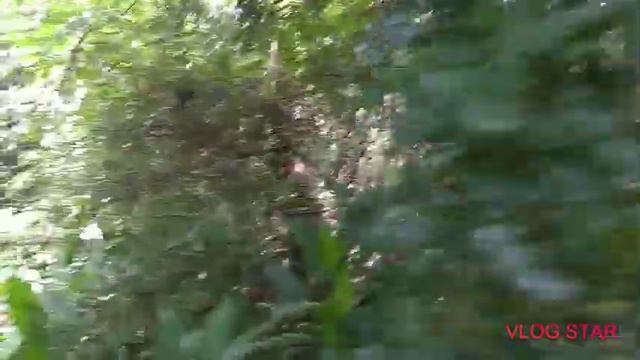 САФАРИ ЗООПАРК #2 парк юрского периода смотреть онлайн