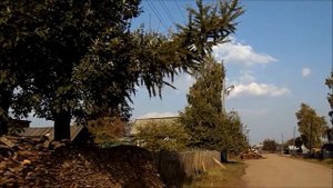 11 09 2016 Goden Autumn Bratsk Sukhoi Золото сентября...