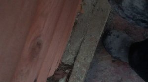 Испытание опилкоблока нагрузкой !