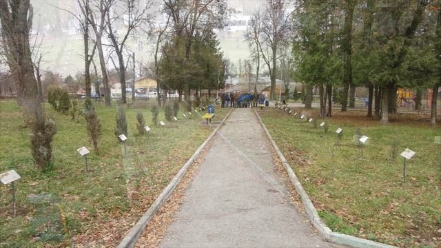 Установка табличек на  АЛЛЕЕ БЕССМЕРТНОГО ПОЛКА. Тула, п.Косая гора. 30.10.2021. Часть 4