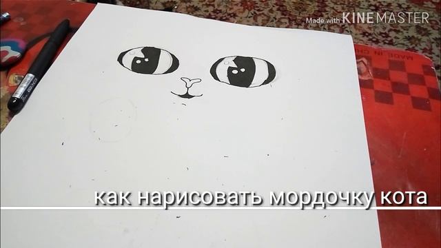 Как нарисовать мордочку кота смотреть онлайн