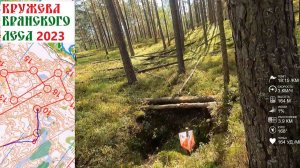 Спортивное ориентирование (headcam orienteering) - Кружева Брянского Леса, классика - 30.07.2023