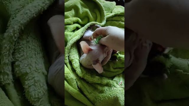 Феня. 6 утра- лучшее время для игр смотреть онлайн