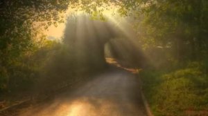 Tiff Lacey & Loverush UK!   Wilderness Original Version