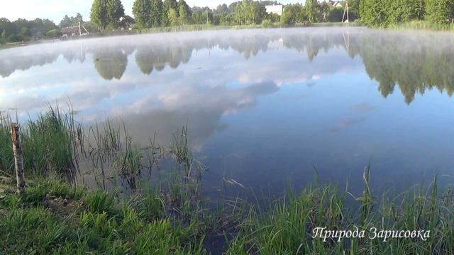 Птицы Поют на рассвете в Деревне | Утро на Пруду с Туманом для Релаксации