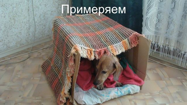 Домик - лежанка для таксы своими руками смотреть онлайн