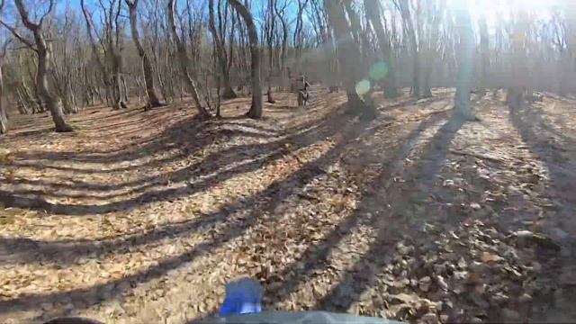 Крымский лес. Балановское водохранилище