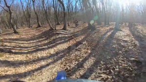 Крымский лес. Балановское водохранилище