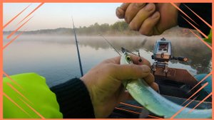 Рыбалка на Вятке в июле. Хороший клёв, чехонь и сопа.