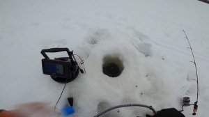 Multi-Species ICE FISHING Challenge! (How Many Can We Catch?)