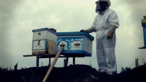 Конструктивное дополнение к улью «Видеопасека»