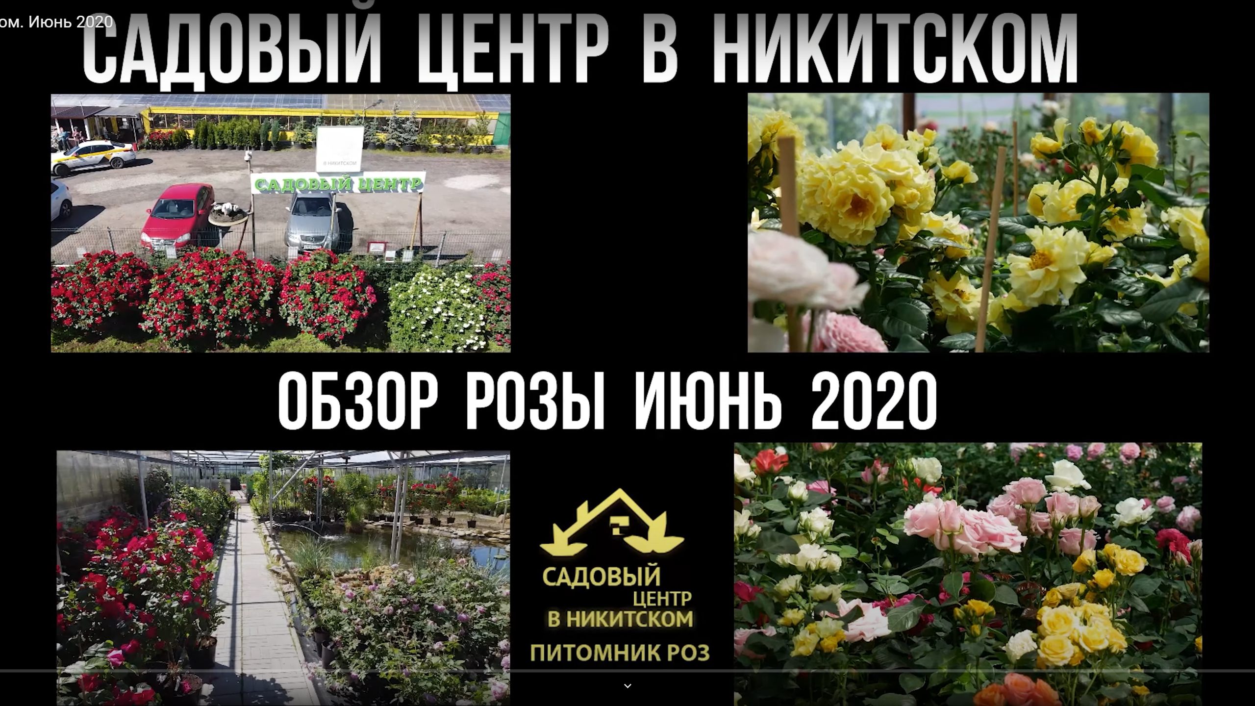 Садовый центр в Никитском Июнь 2020