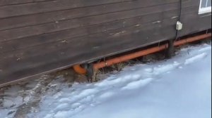 Как лопаются канализационные трубы при морозе -25