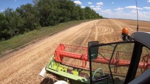 Уборка озимой пшеницы. Работаю на комбайне CLAAS. Часть первая.
