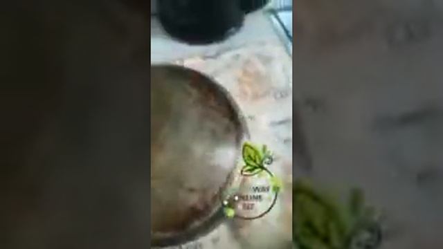 Паста Мустик от компании Greenway смотреть онлайн