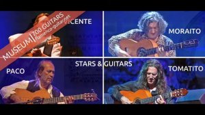 Flamenco Guitar Museum -1000 Guitars In The Web Museum