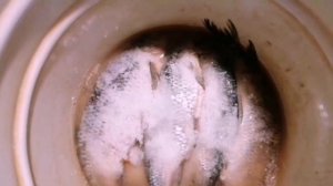 Таранка зимой! Как солить и сушить рыбу