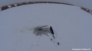 Хапуги трещат от карасей! Золотой карась. Сибирский улов зимнего нереста!