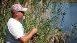 Карп или судак？ Танта уравнивает шансы!Карп или судак? Танта уравнивает шансы!