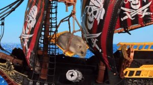 Сказка про джунгариков: Хомки против Пиратов