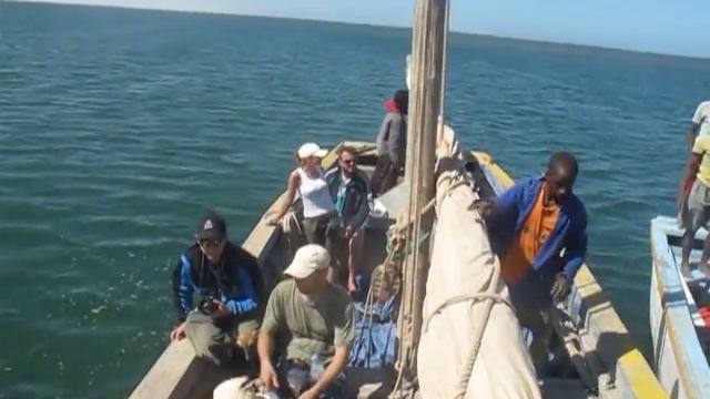 Watching the Birds, Banc De´Arguin National Park, Mauritania смотреть онлайн