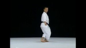 Дзиттэ последовательность