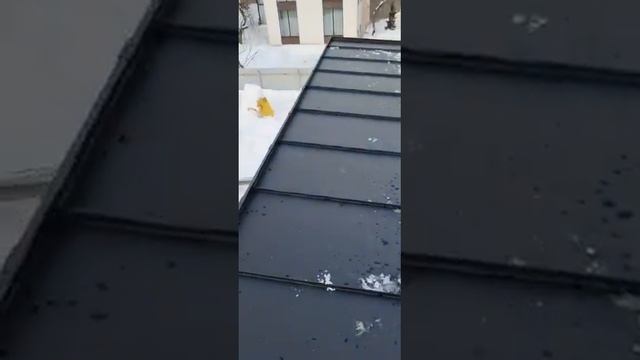 Сегодня в обзоре односкатная фальцевая кровля 400 м2. Продолжение в описании.