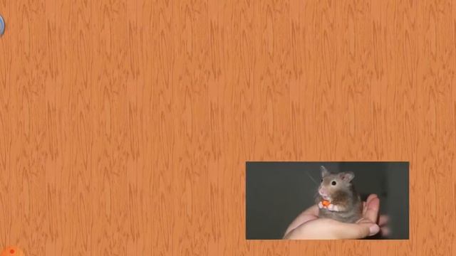 ДОМАШНИЕ ЖИВОТНЫЕ И ЗВУКИ ДОМАШНИХ ЖИВОТНЫХ. РАЗВИВАЮЩИЕ МУЛЬТИКИ ДЛЯ ДЕТЕЙ. УЧЕБА И ИГРА смотреть онлайн