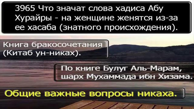 3965 Что значат слова хадиса Абу Хурайры   на женщине женятся из за ее хасаба