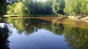 домики для отдыха!!!!