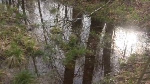 Три года ты мне снилась