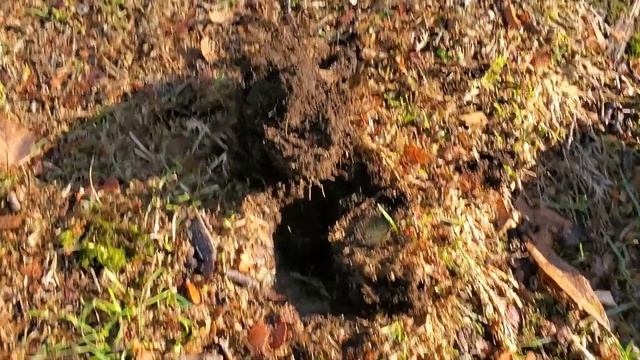 Salt water beach and park metal detecting md4030. Ground balance adjustment demonstration. смотреть онлайн