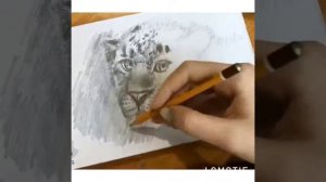 Рисуем леопарда пошагово