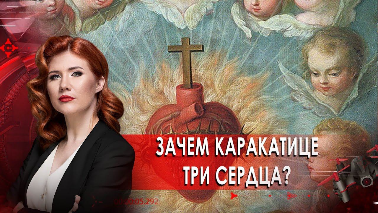 Зачем каракатице три сердца? Тайны Чапман. (19.10.20).