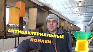 Почему поилки, а не система поения в крольчатнике